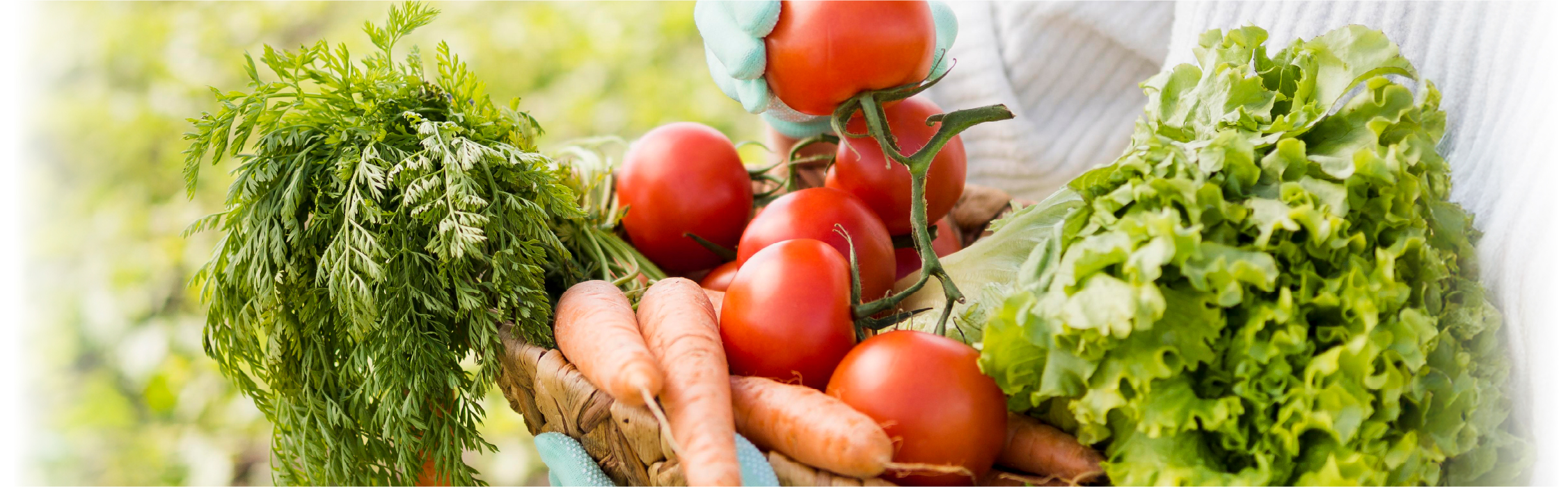 メインイメージ